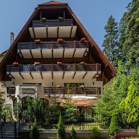 Opus Villa Sinaia Dış mekan fotoğraf The chalet in 2012