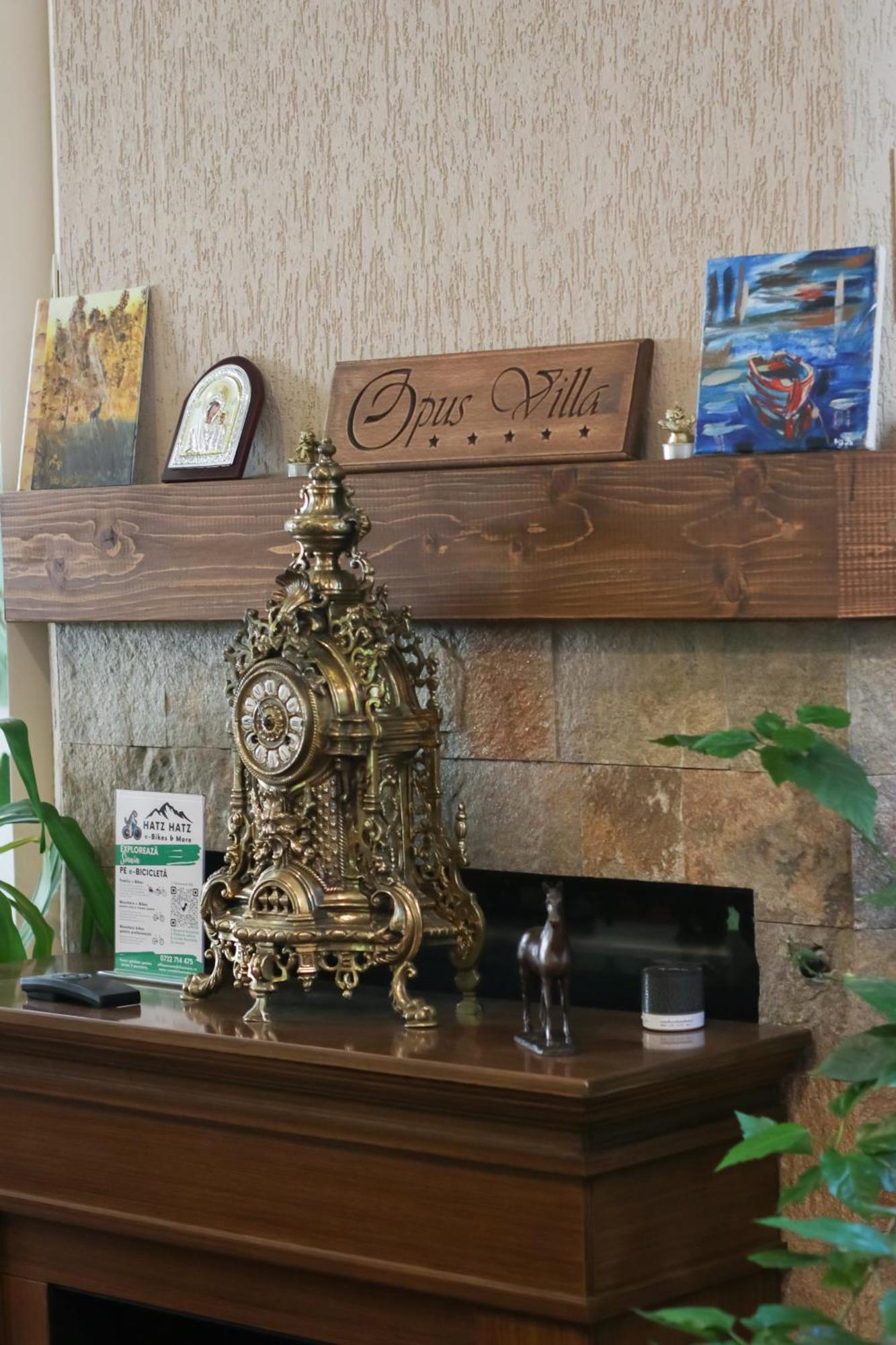 Opus Villa Sinaia Dış mekan fotoğraf Opus Villa