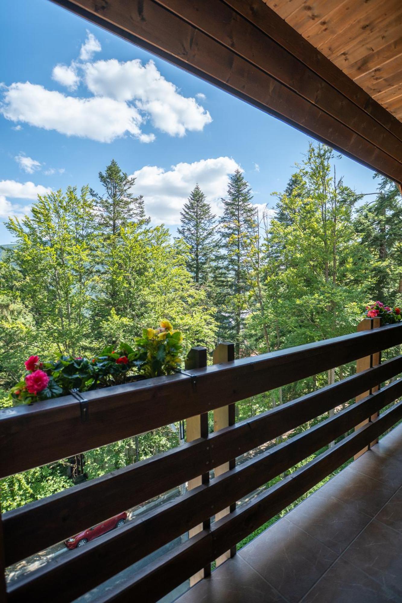 Opus Villa Sinaia Dış mekan fotoğraf A balcony in the Alps