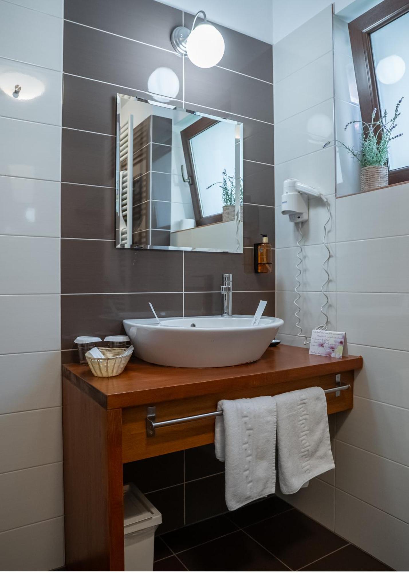 Opus Villa Sinaia Dış mekan fotoğraf Bathroom in a hotel