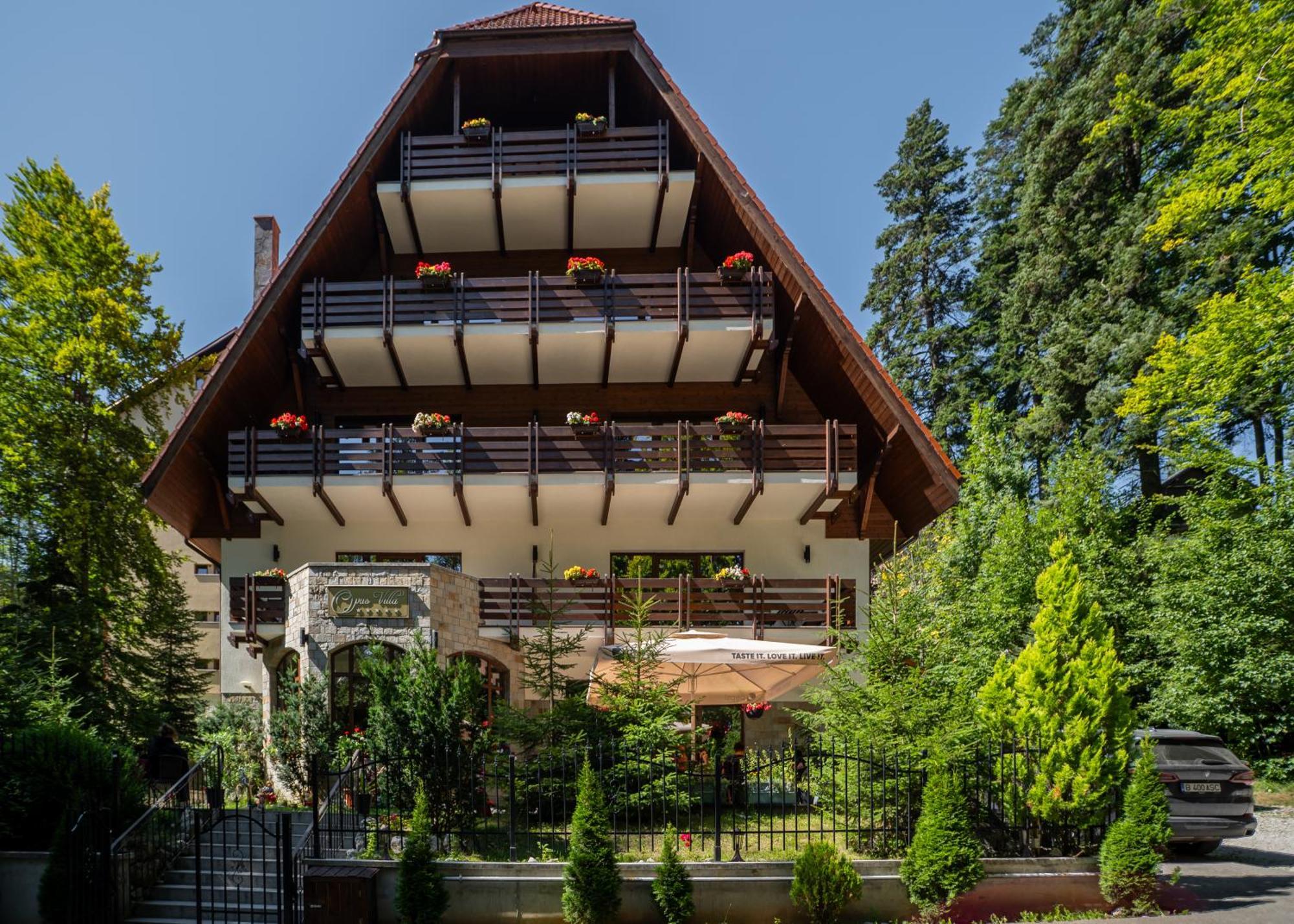 Opus Villa Sinaia Dış mekan fotoğraf The chalet in 2012