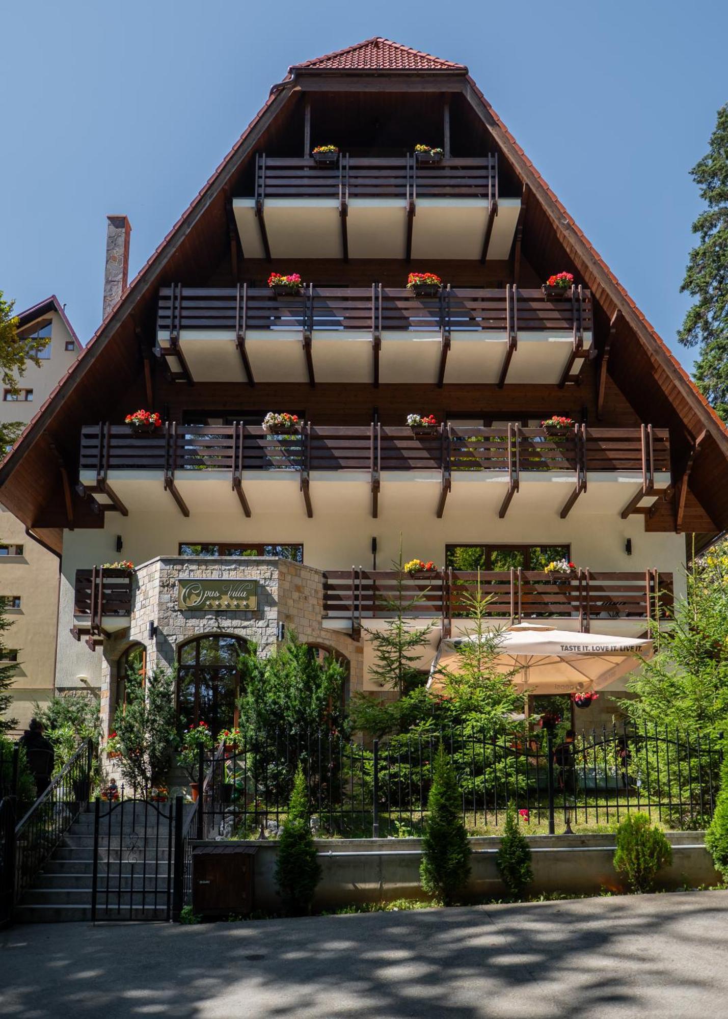 Opus Villa Sinaia Dış mekan fotoğraf The house of the writer in the village of Vrana