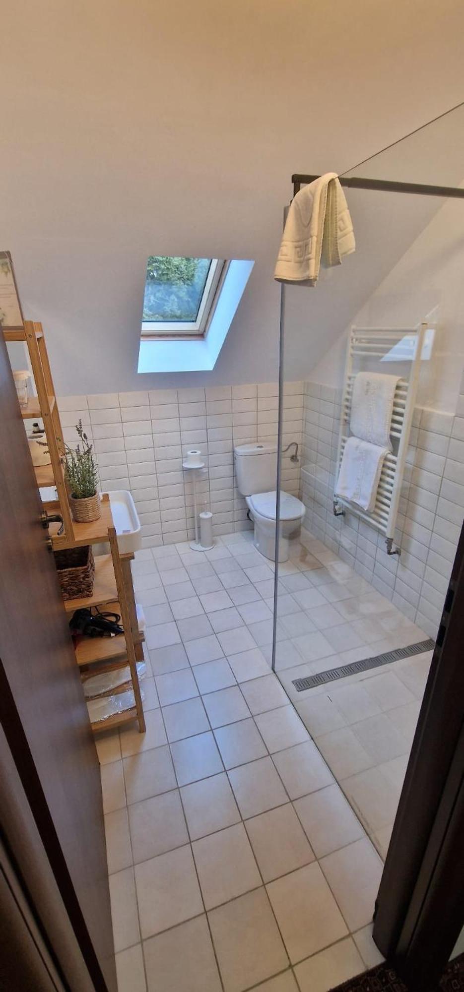 Opus Villa Sinaia Dış mekan fotoğraf Bathroom with shower