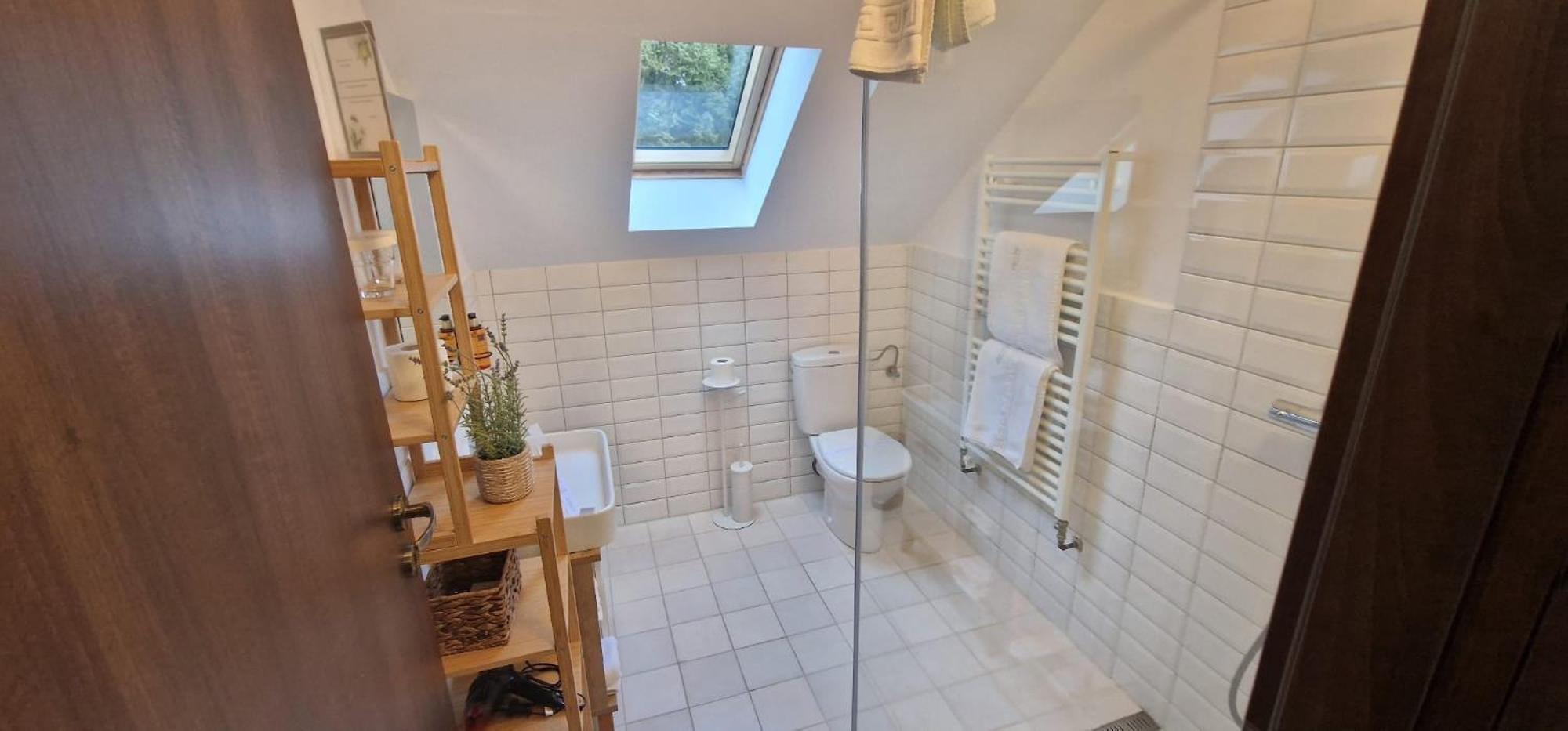 Opus Villa Sinaia Dış mekan fotoğraf Bathroom with a shower
